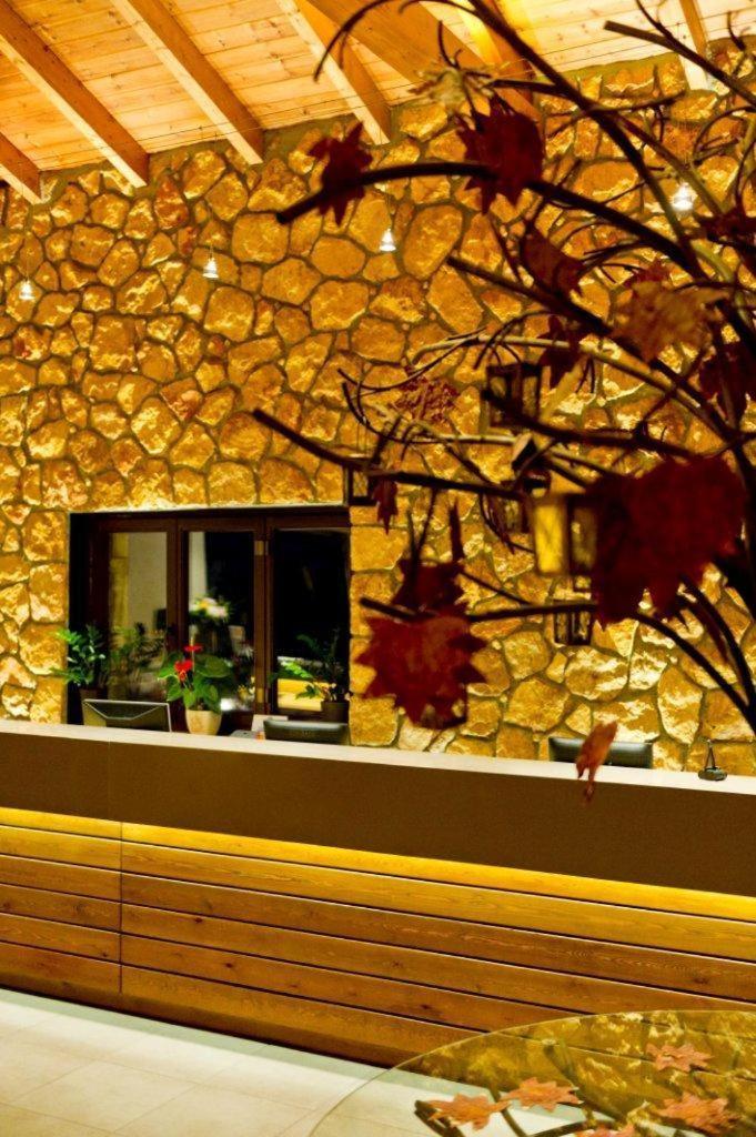 Pliadon Gi Mountain Resort & Spa Kato Sinikia Trikalon ภายนอก รูปภาพ
